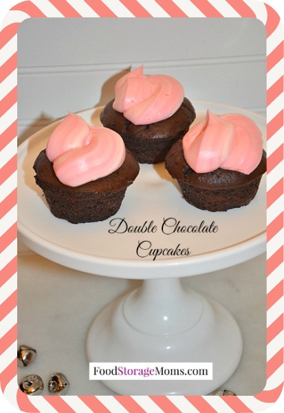 Best Double Chocolate Holiday Cupcakes Recipe