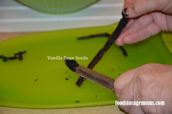 Vanilla Bean Seeds