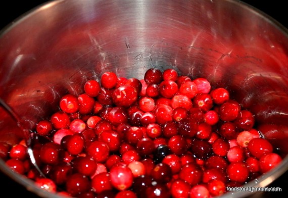 Fresh Cranberries