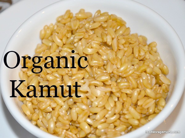 How To Cook Kamut Grain - Food Storage Moms