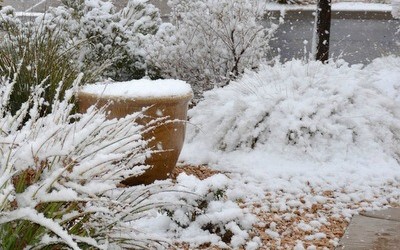 Get Ready For Winter-It's Freezing OutsideFood Storage Moms