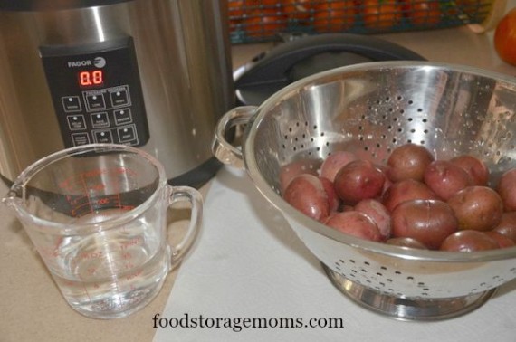 Easy And Quick Way To Make Potatoes For Dinner | by FoodStorageMoms.com