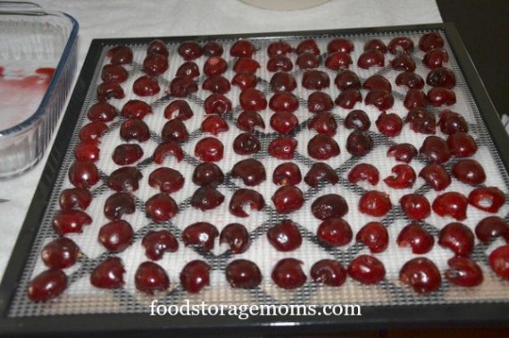 How To Dehydrate Cherries-Healthy Snack | by FoodStorageMoms.com