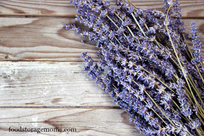 9 reasons i store lavender oil for survival by foodstoragemoms.