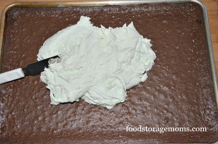 The Best Mint Brownie Recipe In The World by FoodStorageMoms