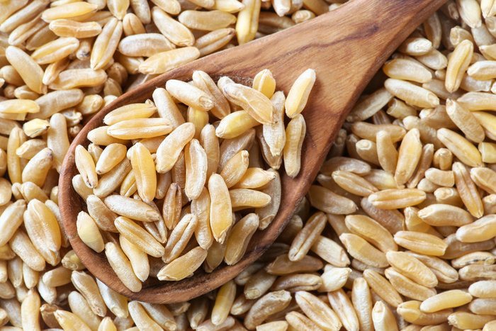 How To Cook Kamut Grain And Love It - Food Storage Moms