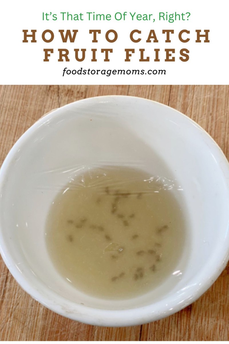 How To Catch Fruit Flies - Food Storage Moms