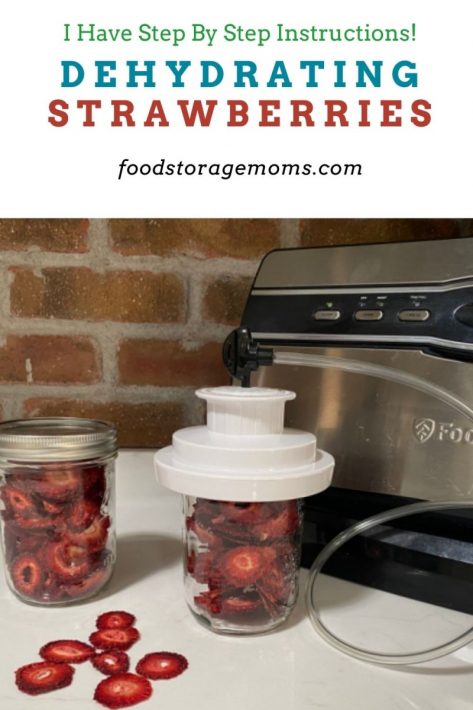 Dehydrate Strawberries In The Air Fryer (Ninja Foodi Method) 