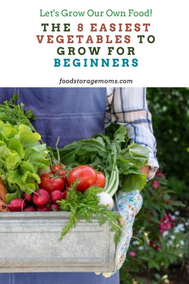 The 8 Easiest Vegetables To Grow For Beginners - Food Storage Moms