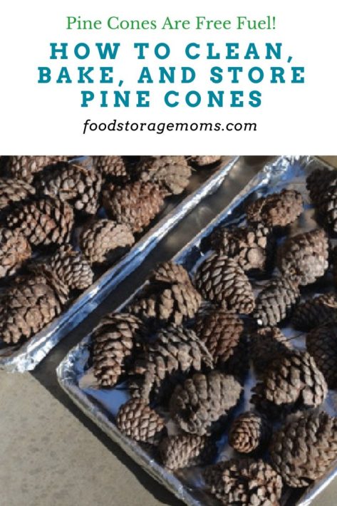 Baking Pine Cones