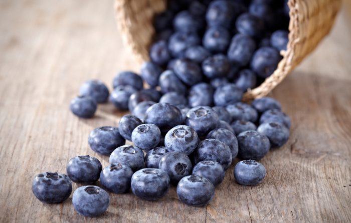 Dehydrating Blueberries And Make Blueberry Powder Food Storage Moms