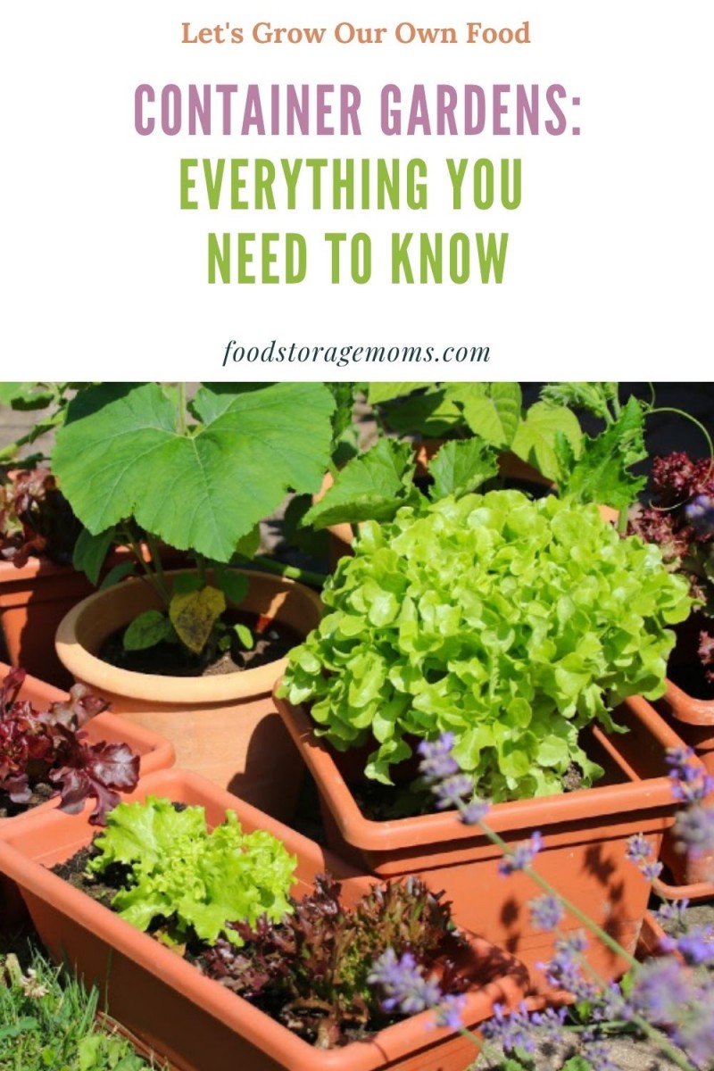 Container Gardens: Everything You Need To Know - Food Storage Moms