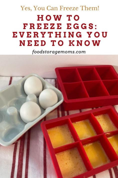 How to Freeze Eggs Everything You Need to Know 