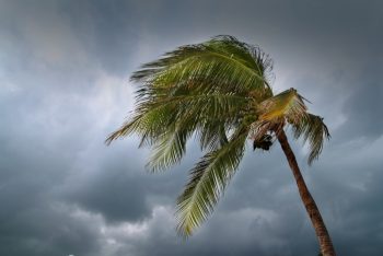 What to Do Before a Tropical Storm Hits - Food Storage Moms