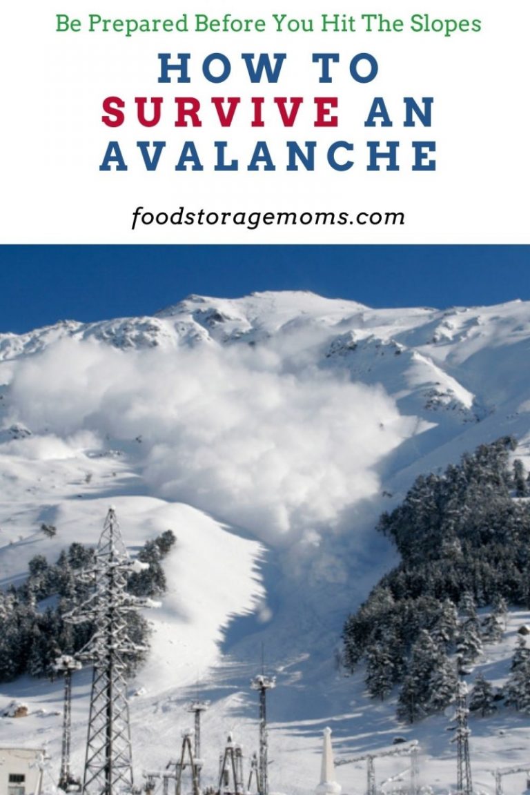 How To Survive An Avalanche Food Storage Moms 6926