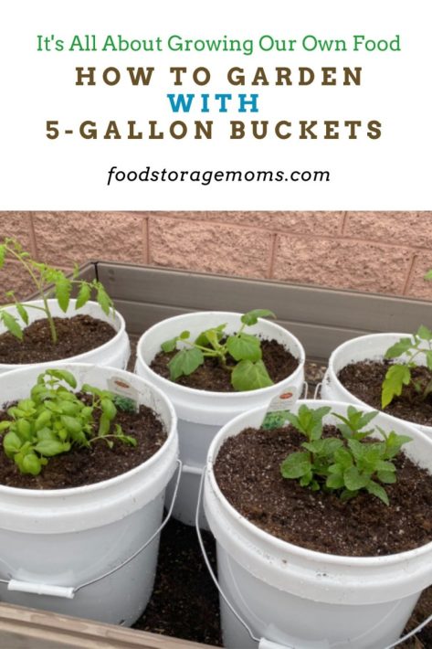 What plants grow well in 5-gallon fabric pots?