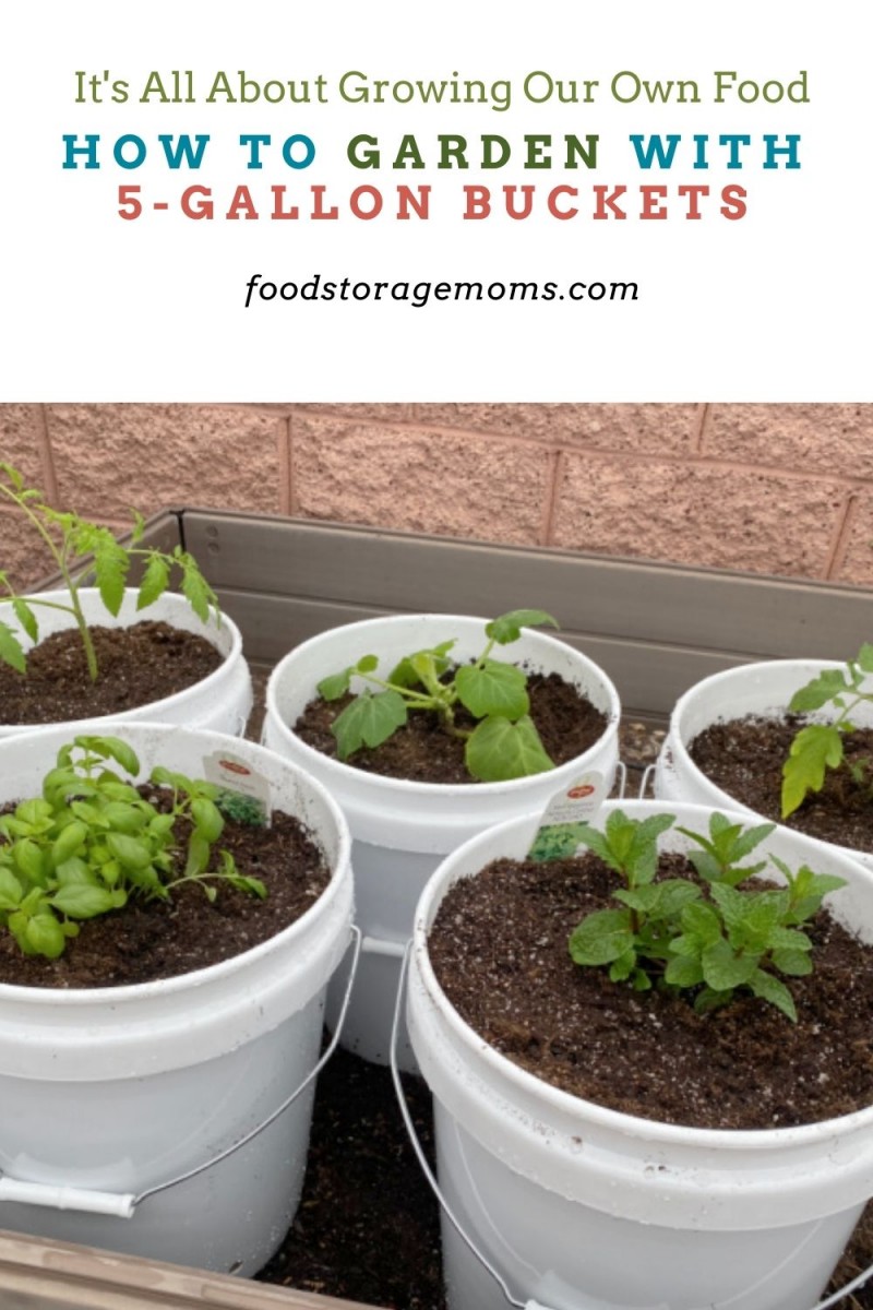 How to Garden With 5-Gallon Buckets - Food Storage Moms