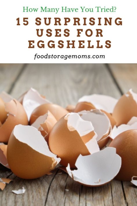 15 Surprising Uses for Eggshells