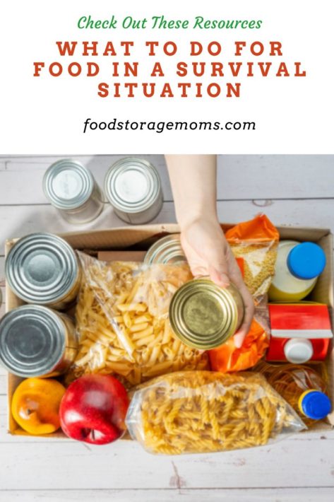 What to Do For Food in a Survival Situation