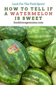 How to Tell If a Watermelon Is Sweet - Food Storage Moms