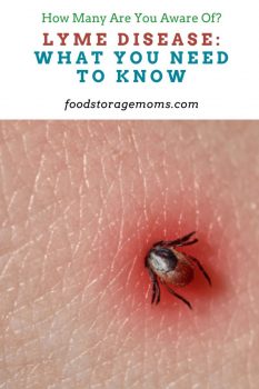 Lyme Disease: What You Need to Know - Food Storage Moms