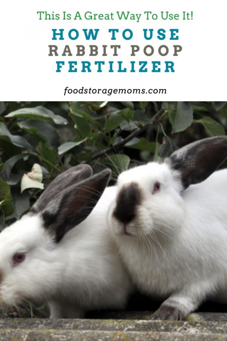 How to Use Rabbit Poop Fertilizer - Food Storage Moms