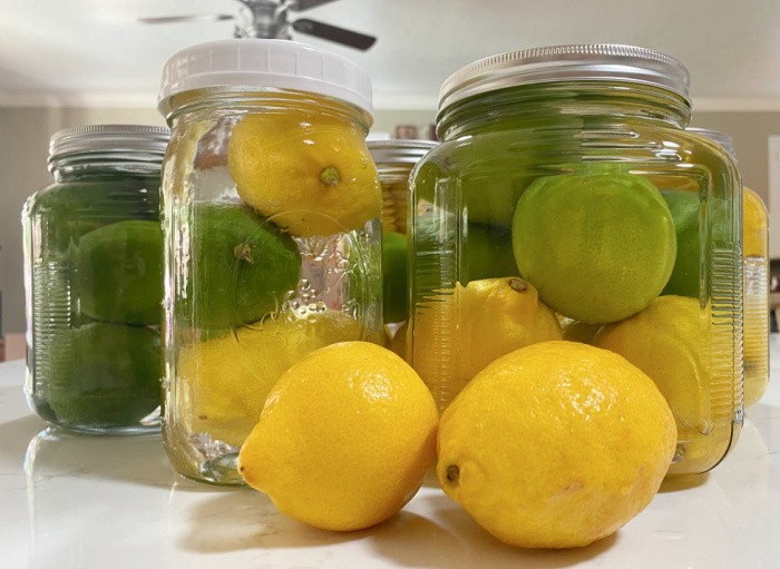 https://www.foodstoragemoms.com/wp-content/uploads/2021/08/The-Best-Way-To-Keep-Lemons-and-Limes-3.jpeg