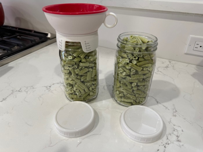 Green Beans Freeze Dried In Jars