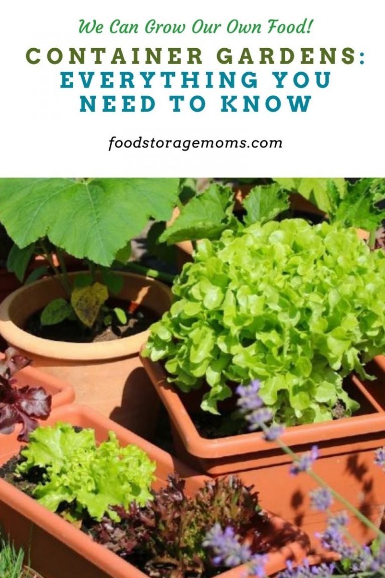 Container Gardens: Everything You Need To Know - Food Storage Moms