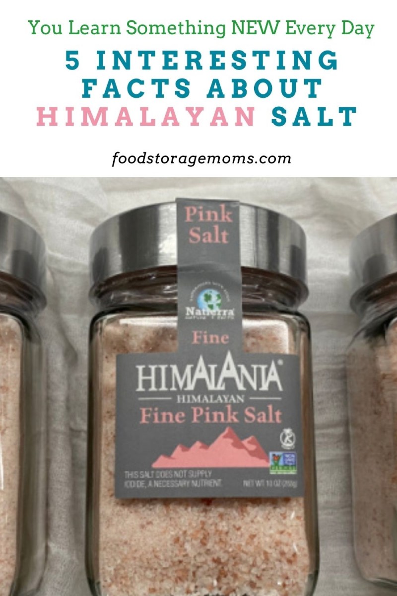 5-interesting-facts-about-himalayan-salt-food-storage-moms