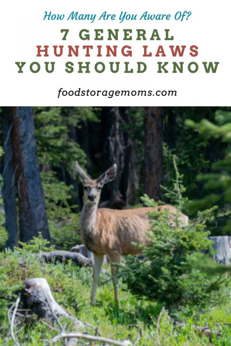 7 General Hunting Laws You Should Know Food Storage Moms