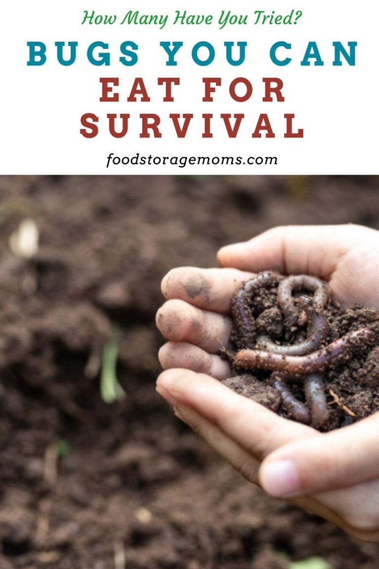 bugs-you-can-eat-for-survival-food-storage-moms