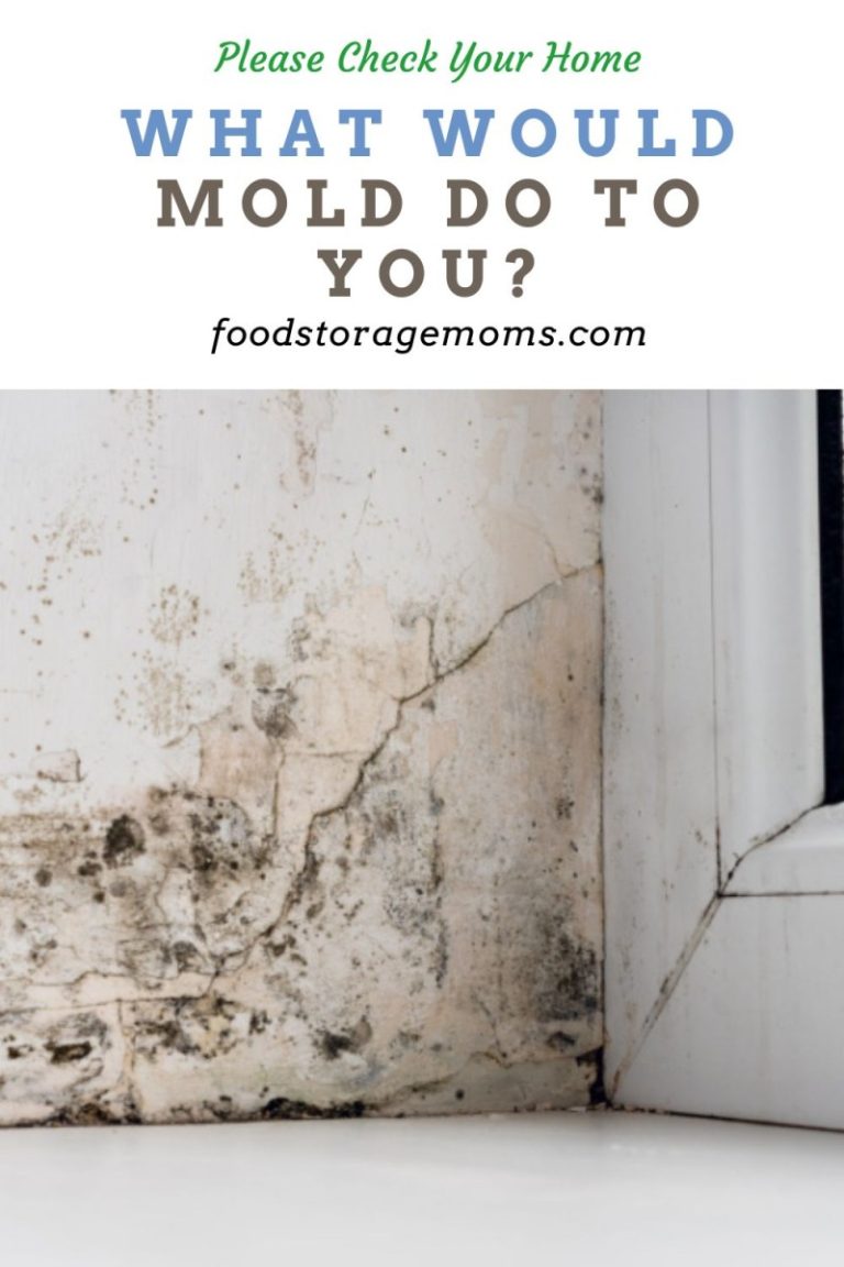 what-would-mold-do-to-you-food-storage-moms