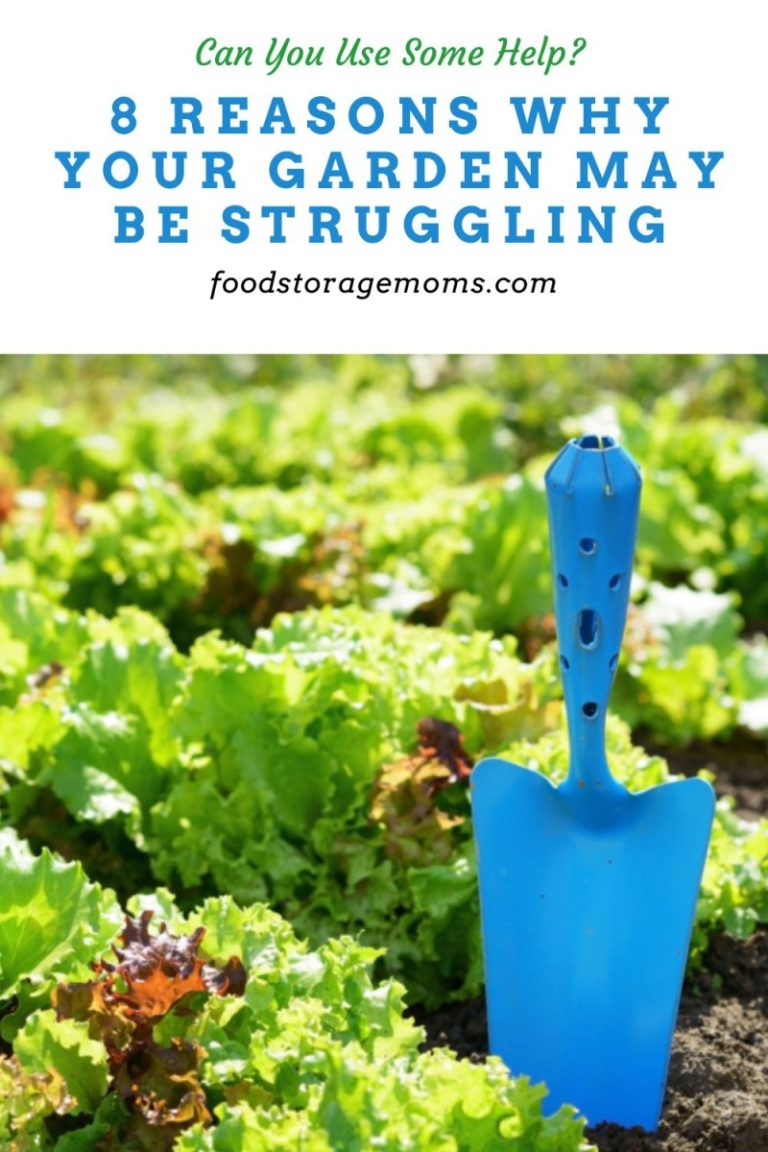 8-reasons-why-your-garden-may-be-struggling-food-storage-moms