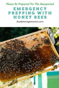 Emergency Prepping with Honey Bees - Food Storage Moms