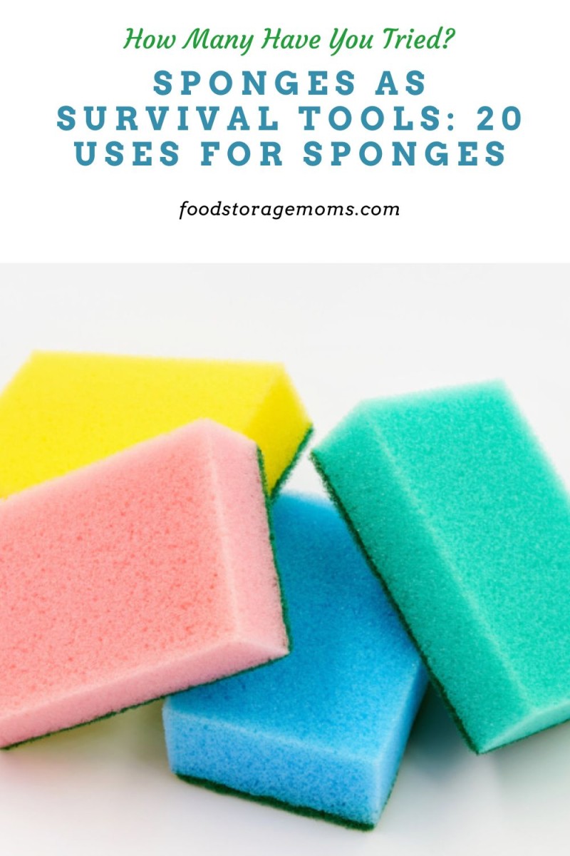 Sponges as Survival Tools 20 Uses for Sponges Food Storage Moms