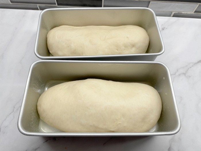 Bread Pans with Bread Dough